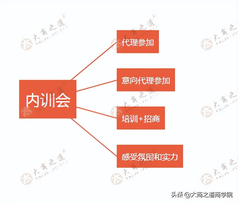 王昕招商实战课引流方法,招商女王王昕导师