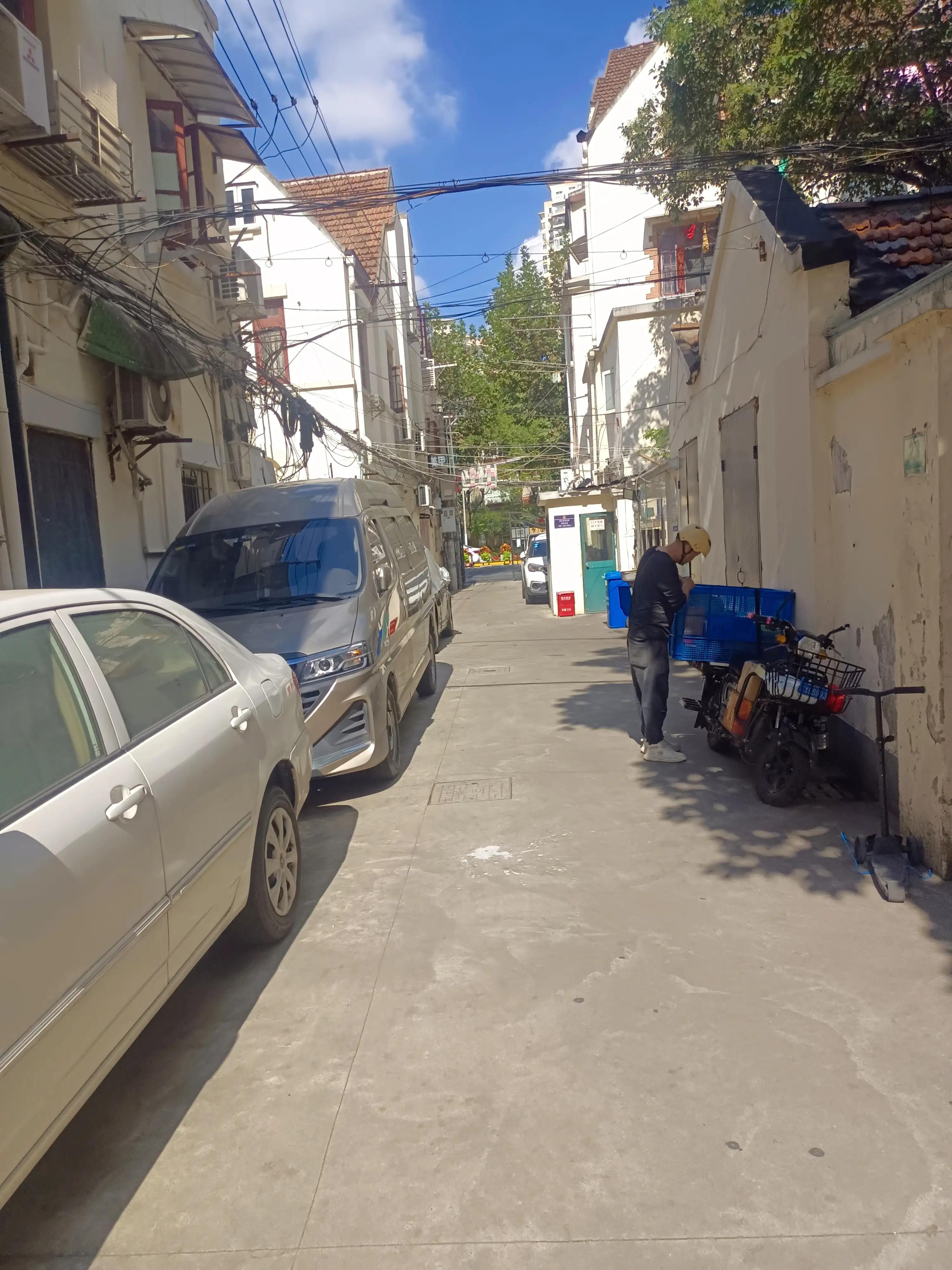 胡适三妻四妾,胡适两位夫人