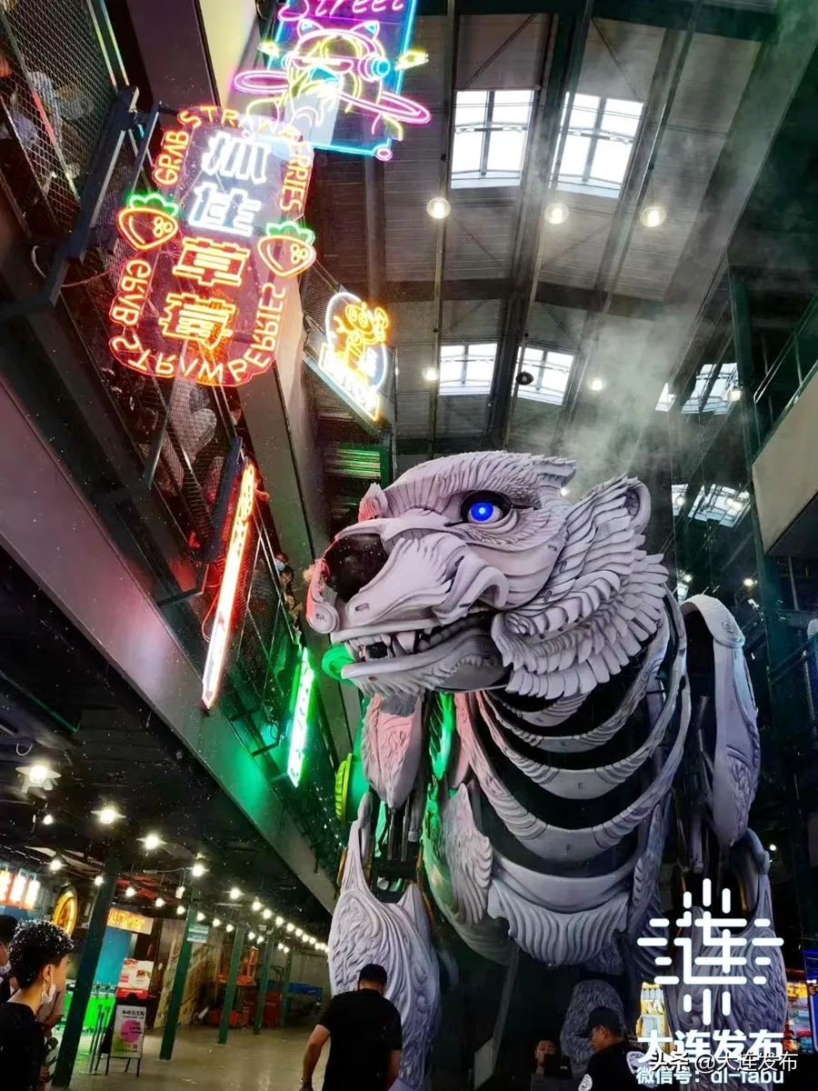 大连旅游必须做的事情,大连皮口港旅游攻略