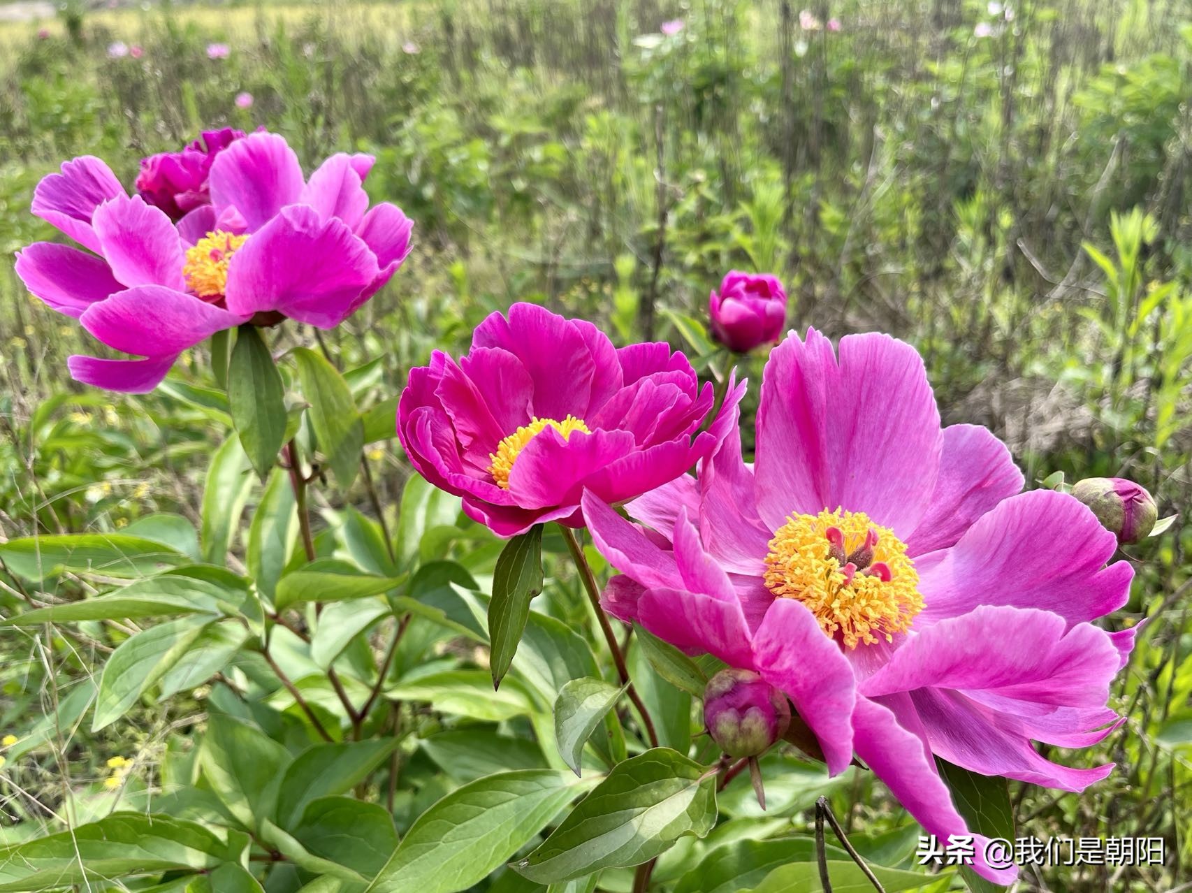 九嶷河国家湿地公园在哪里,九嶷河湿地公园