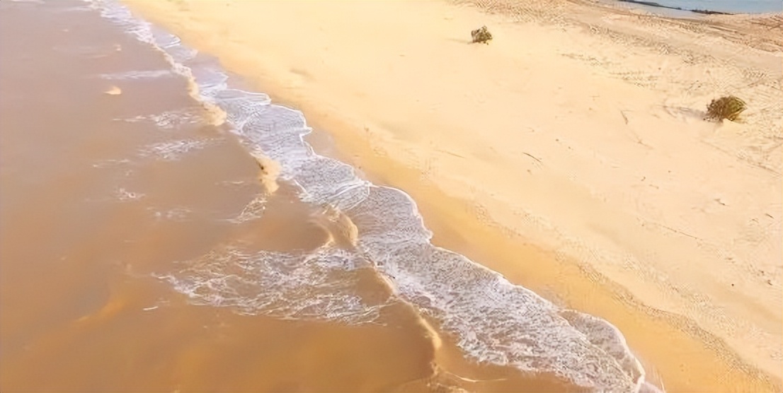 跟团去山东旅游,跟团去欧洲旅游游记