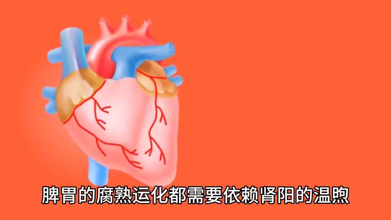 科普一下润康是不是智商税,科普一下沈阳同城租车哪家好