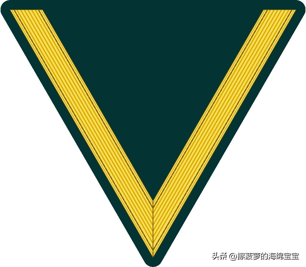 二战德国国防军医疗兵军衔标志