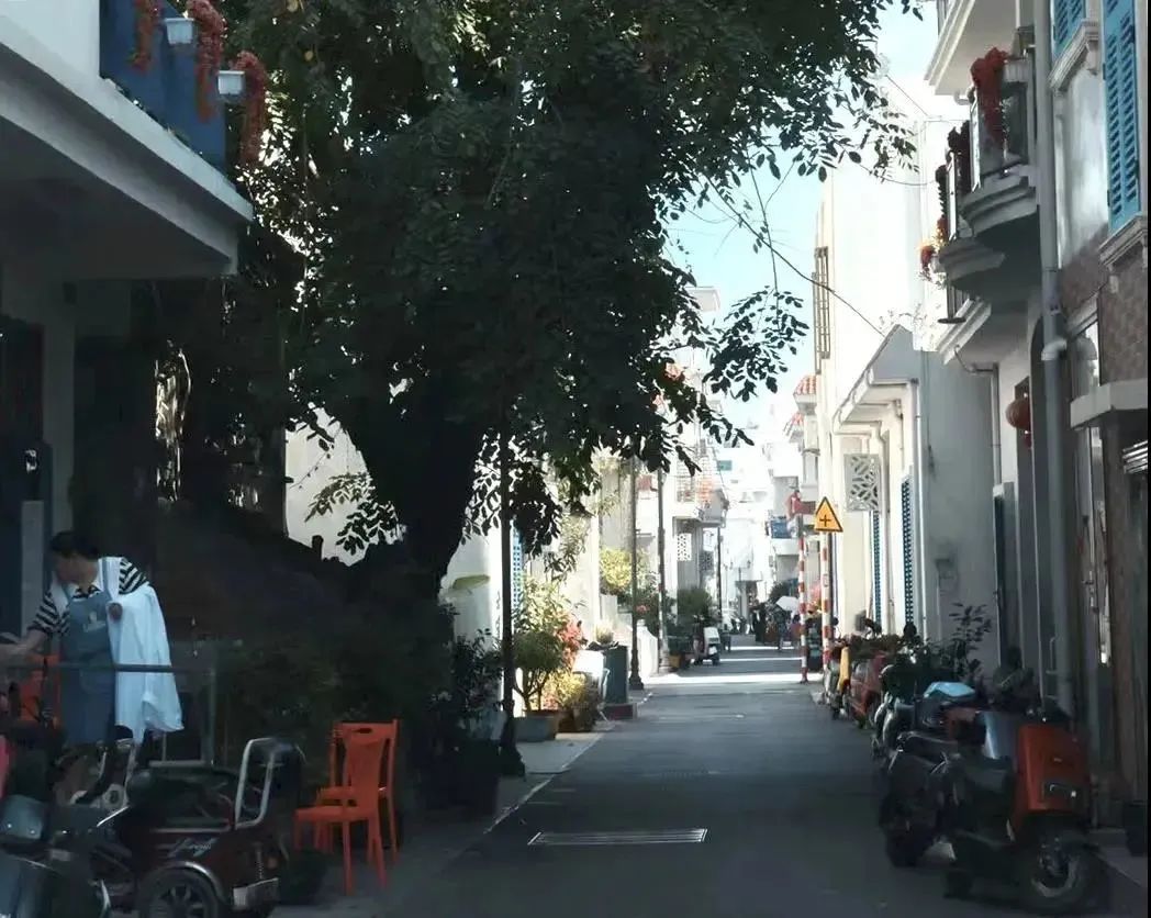 我是旅居三亚的姑娘，最终仓惶逃回深圳了