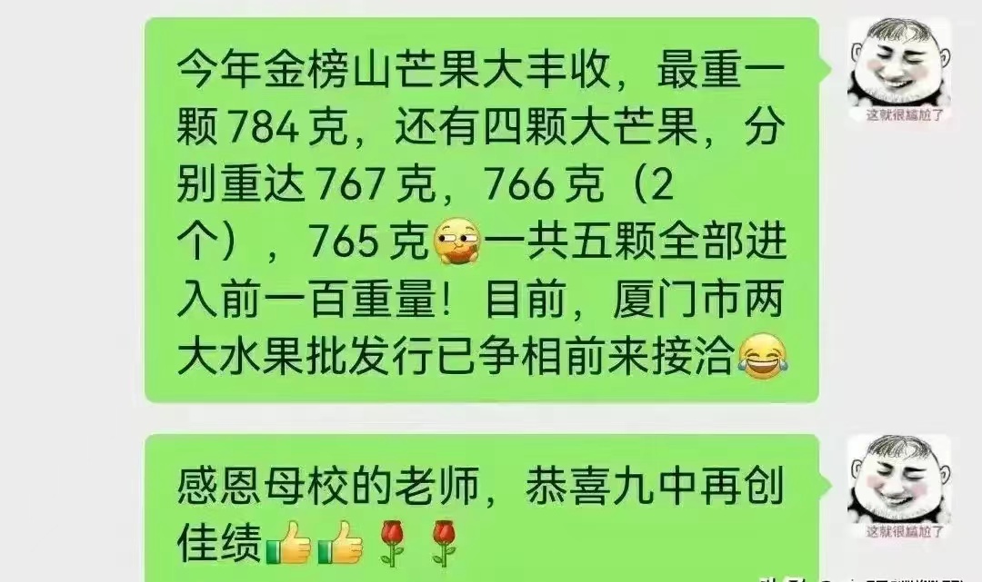 厦门学区房升学率,厦门2023中考状元分数