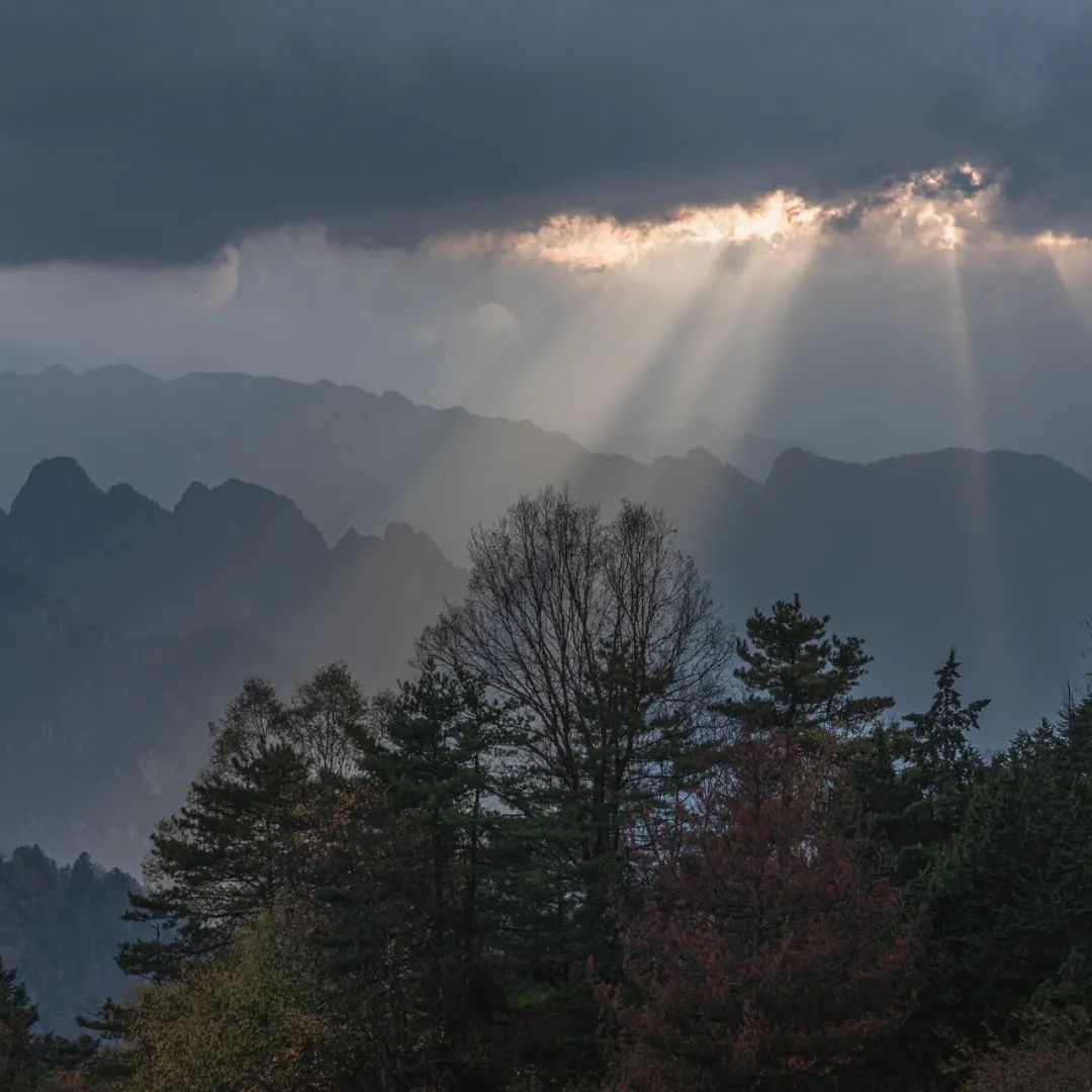 登太白山感受,太白山景区登顶拔仙台