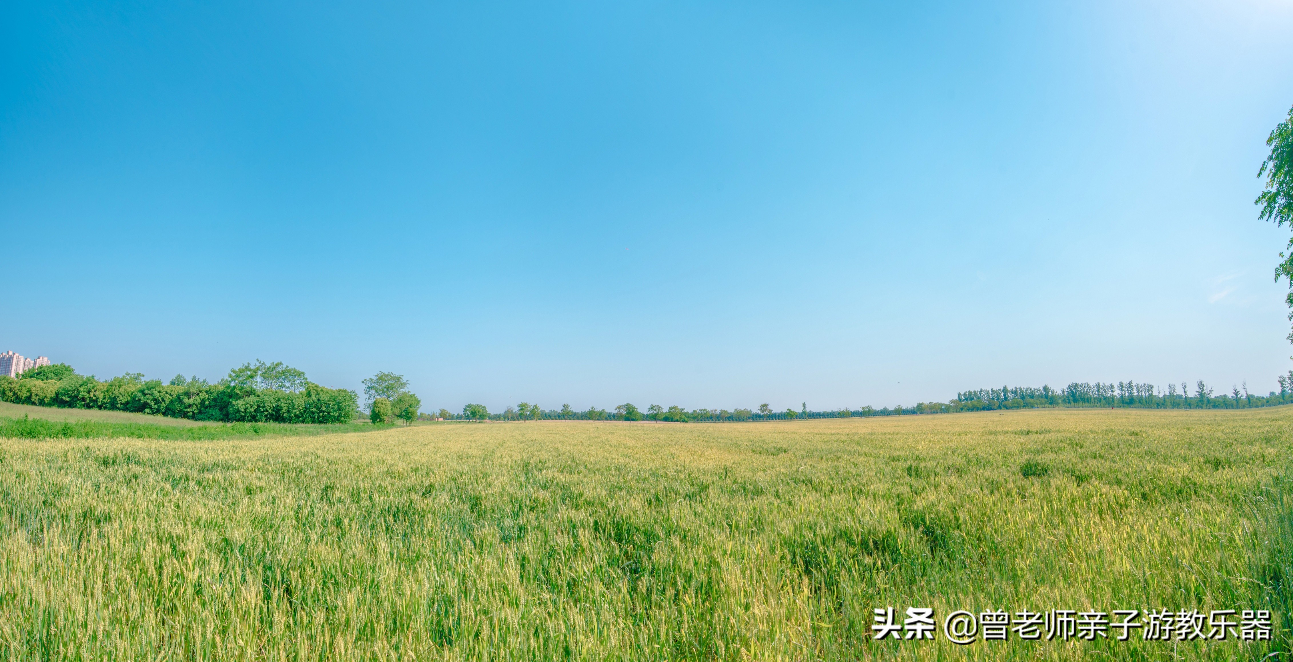 汉长安城未央宫遗址公园露营电话,汉长安城遗址公园露营最新