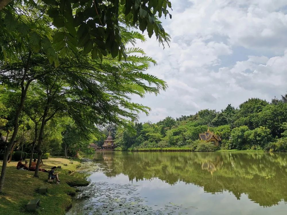 云南西双版纳热带雨林气候,云南的西双版纳冬天依旧色彩绚烂