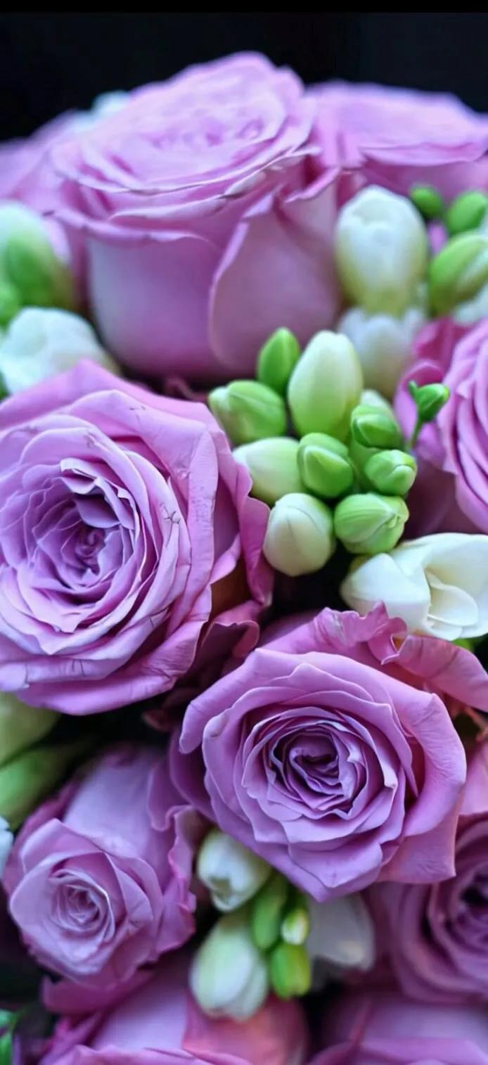 上班励志高清壁纸4k全屏电脑壁纸,黑鲨壁纸动态壁纸高清全屏90帧