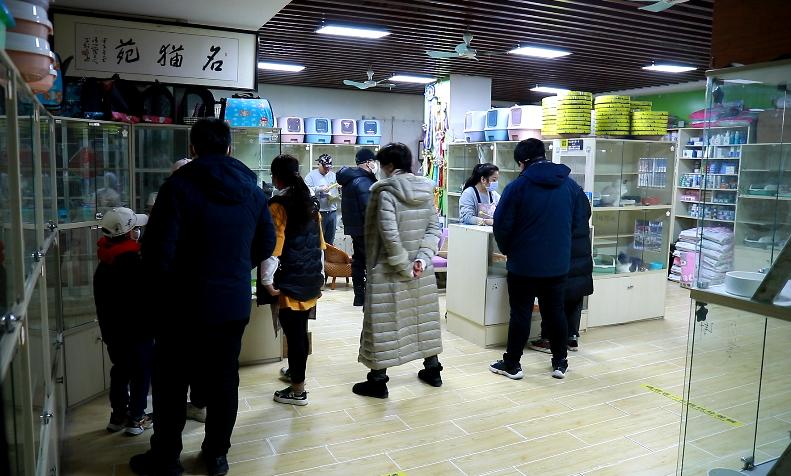 探访！新官园市场萌萌小动物们“营业”啦——