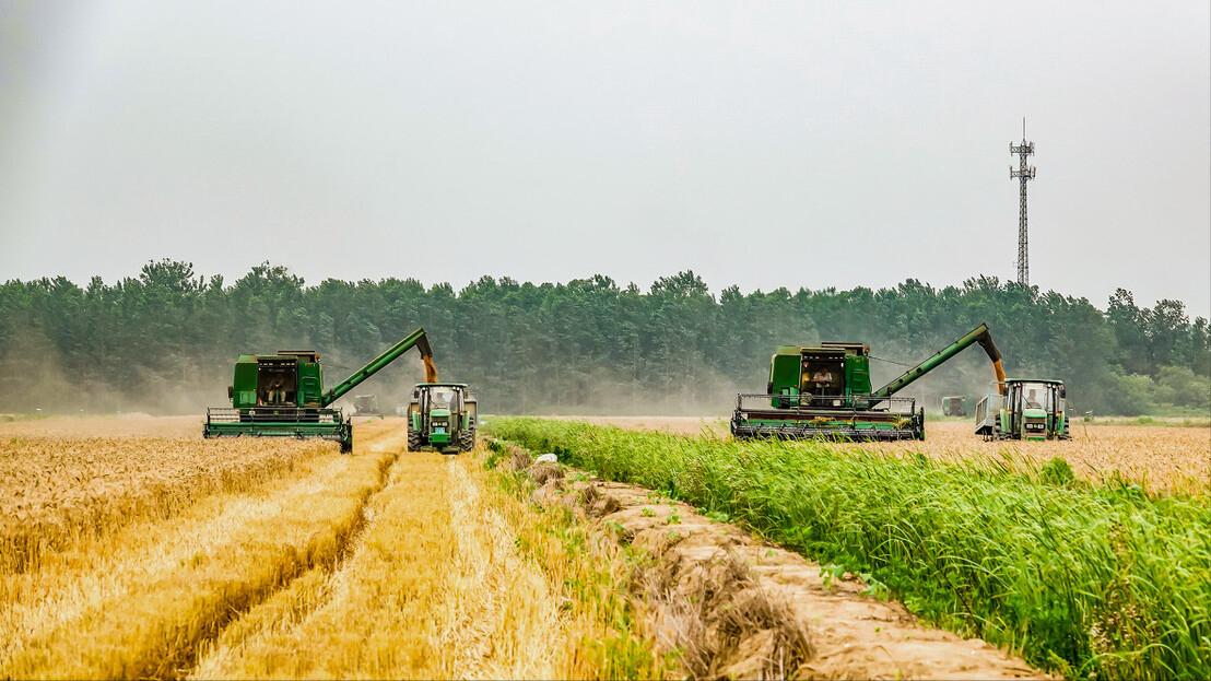 定调!县城将迎来重大机遇,藏在农村的3个生意,不愁销路有补贴