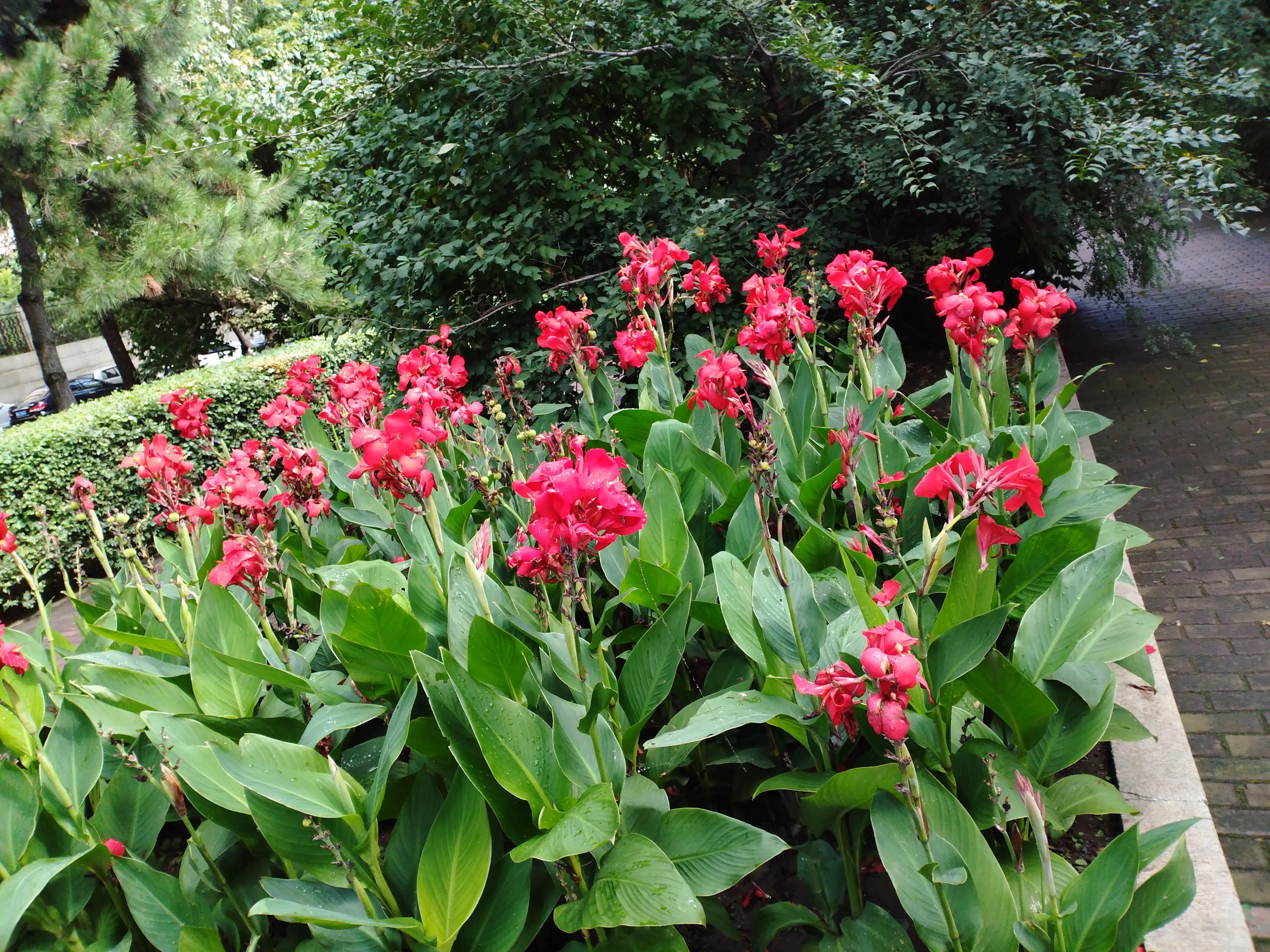 与俄罗斯接壤的黑龙江小镇,黑龙江俄罗斯边境小镇