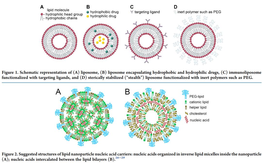 脂质体作为mrna核酸疫苗的缺点,脂质纳米粒在疫苗递送中的应用