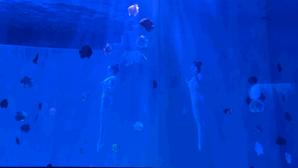 大无语事件！268元买了哈尔滨极地公园亲子票，被路人追着问了三条街！