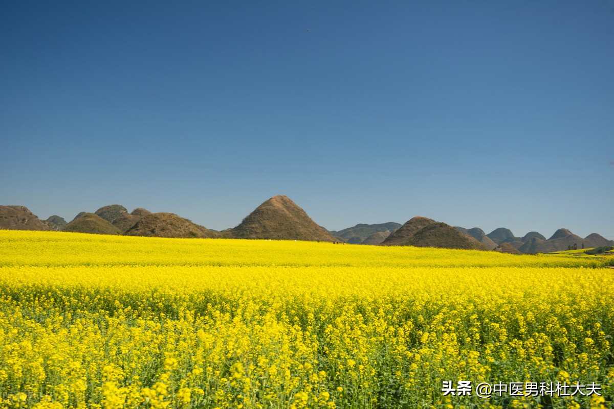 固精养精是什么意思,固精降敏