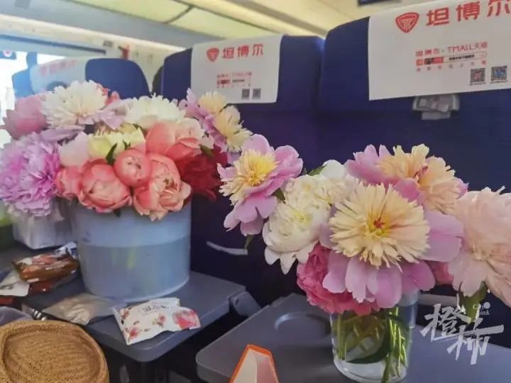 杭州姑娘在菏泽连住5天，只为抢到……