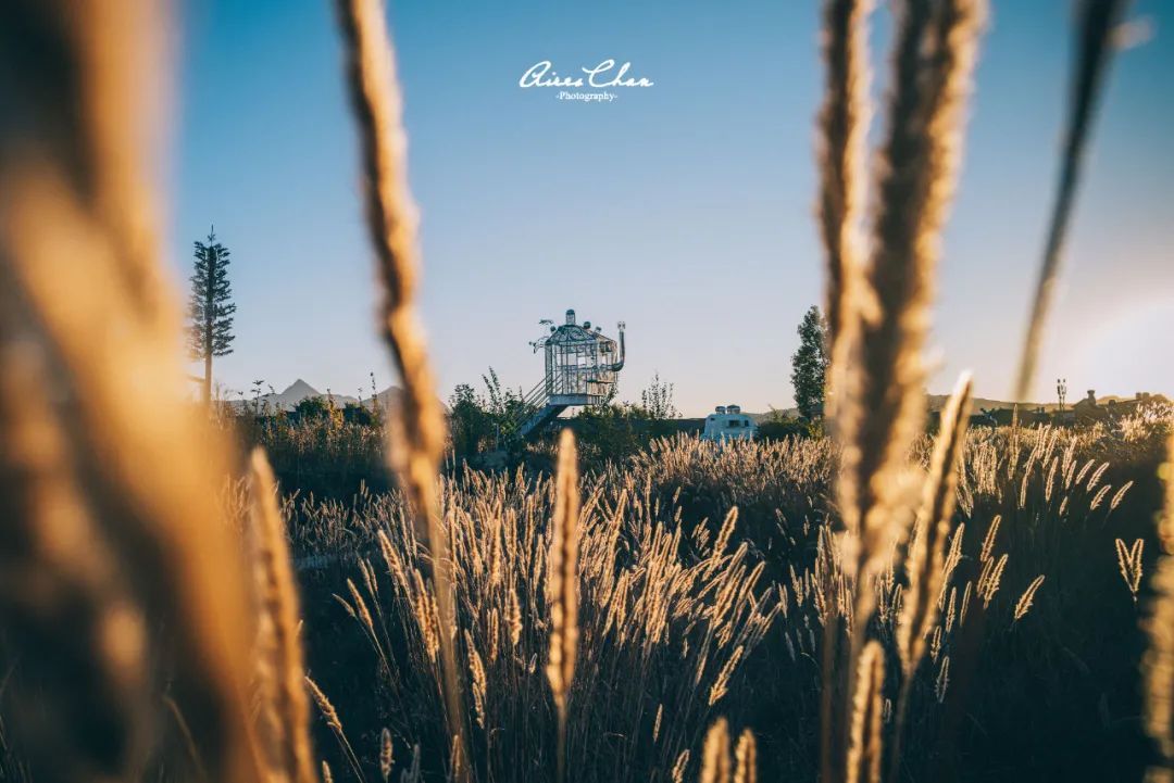 丽江悦榕庄酒店用餐,云南丽江悦榕庄酒店价格