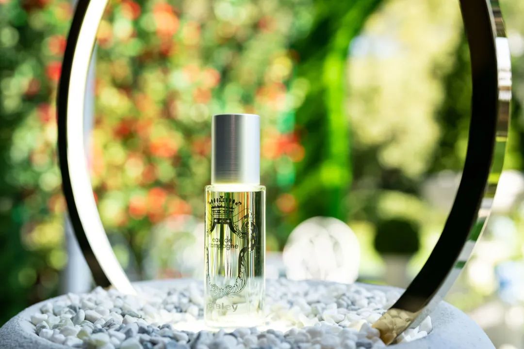 看小敏家什么感受,看了小敏家才知道蚝油要放冰箱里