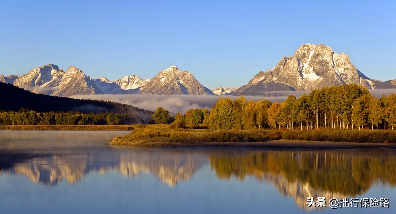 为什么不要在网上买保险 (为什么不建议在互联网上购买保险)