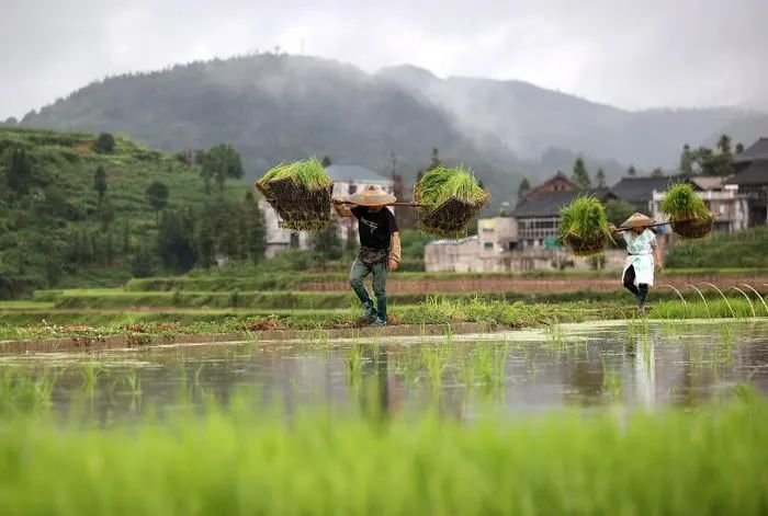 郑州发告诫函/郑州地铁12号线年底通车运营/今天河南高考各考点进行模拟演练/郑州交警发出倡议