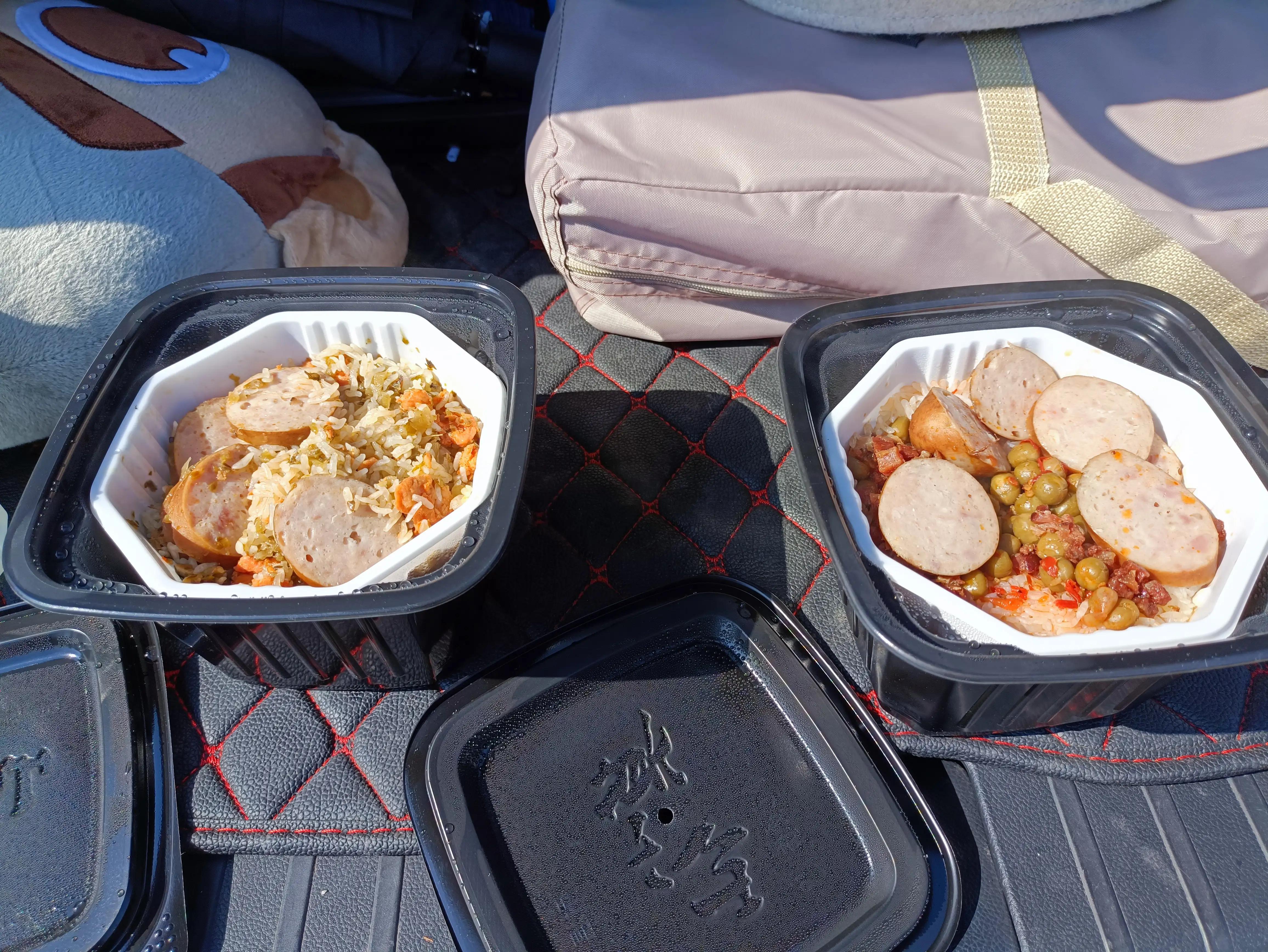 北京动物园和北京野生动物园区别,北京野生动物园狗妈妈和老虎狮子