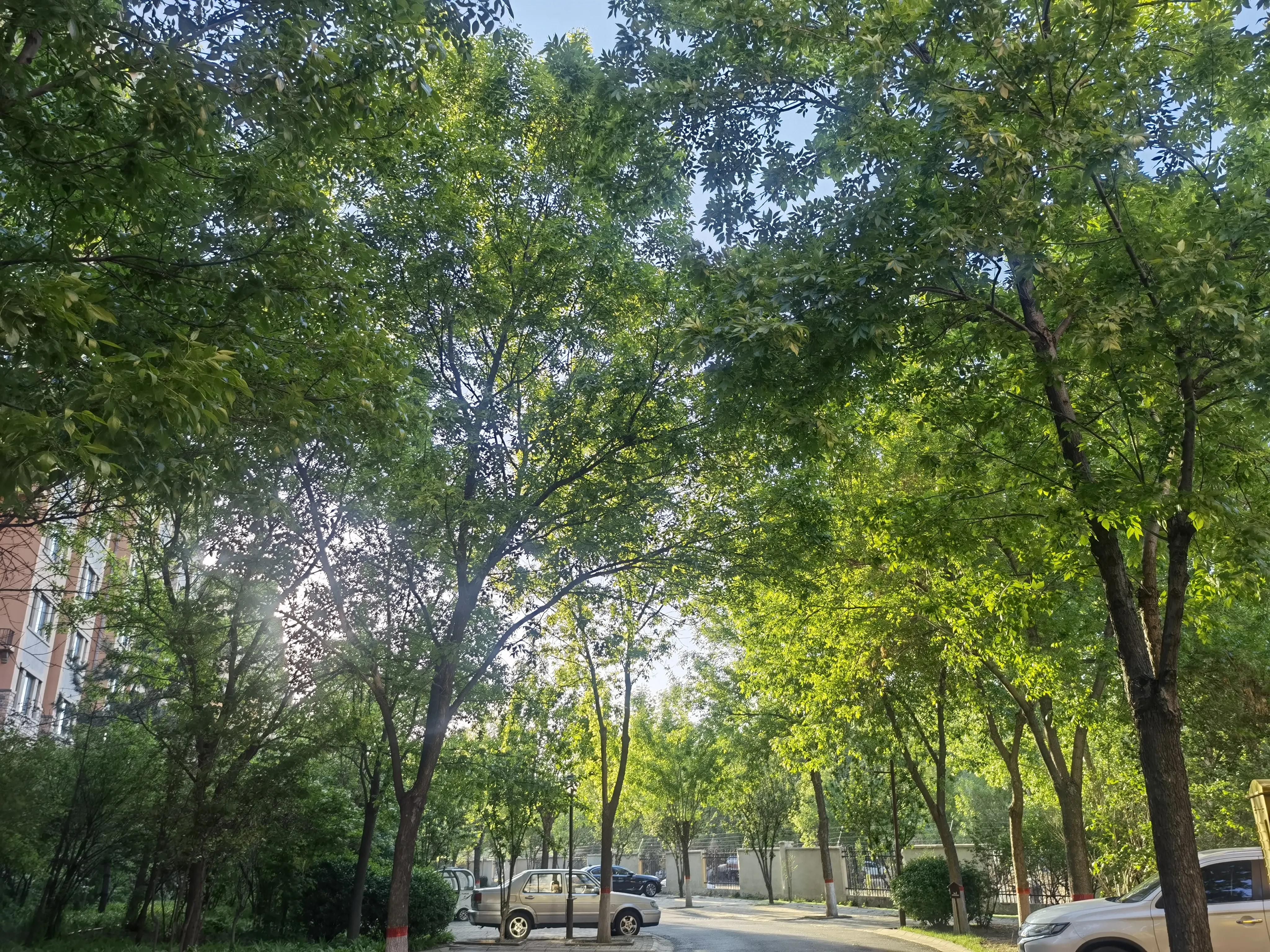 北京人移居固安真实感受,北漂定居固安记录生活