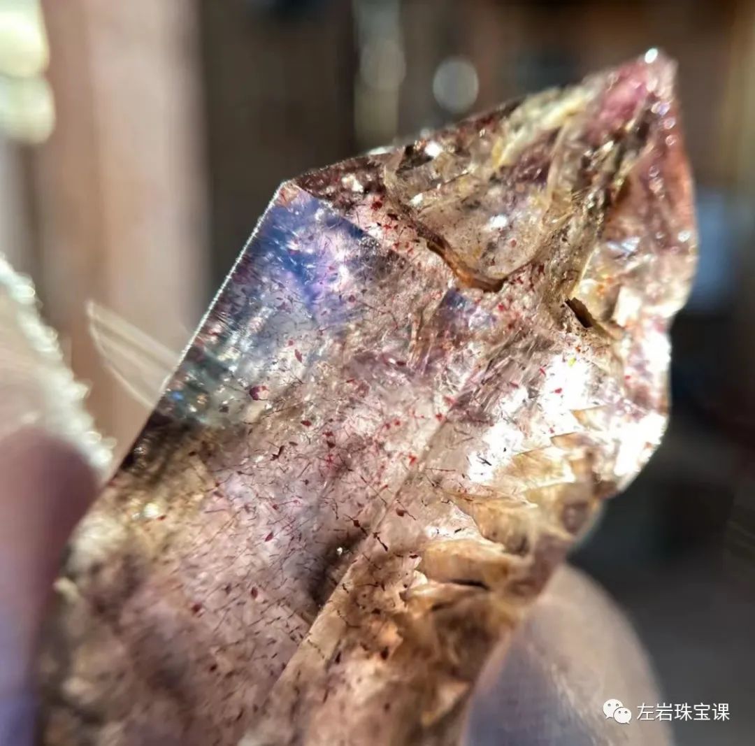 左岩的简介,左岩的最新图片