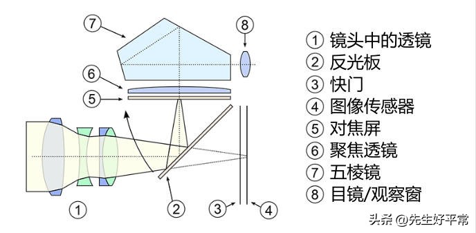 新手入门相机是数码还是单反,摄影初学者哪个单反好