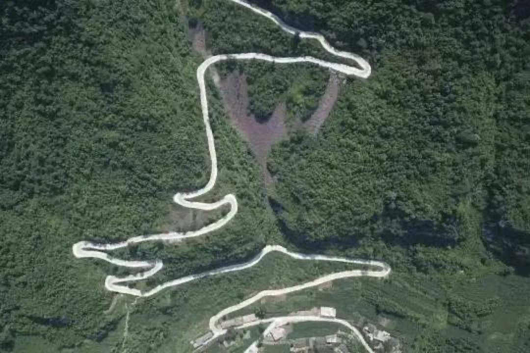 一个胖子辅导女孩,一个胖子教打球