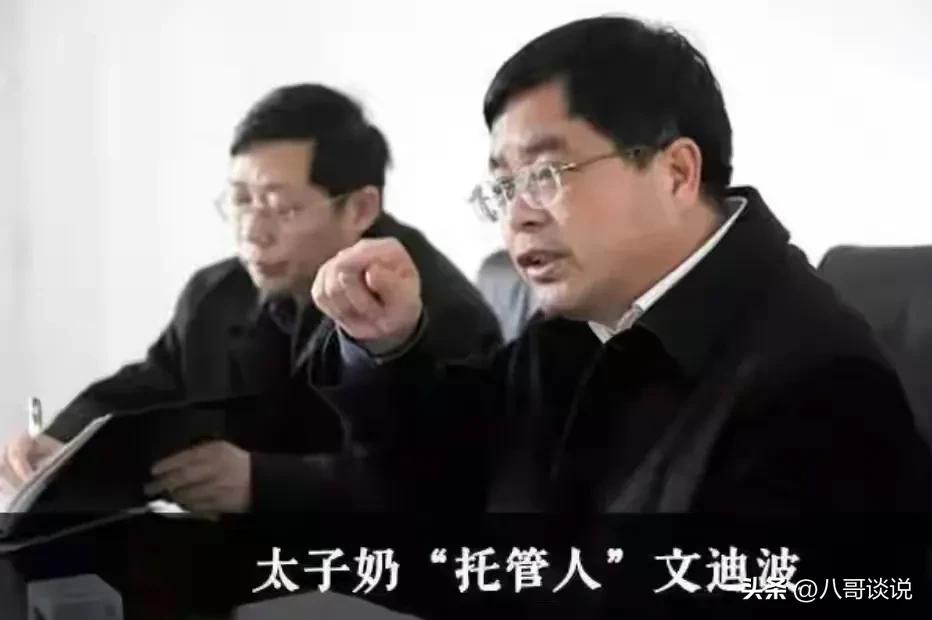 凌娅落网后，恶贯满盈的“太子奶”专案组浮出水面，个个身居要职