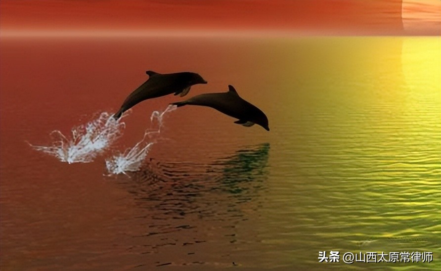 无鉴定资质出具鉴定意见什么罪,没有物证的情况下怎样定罪