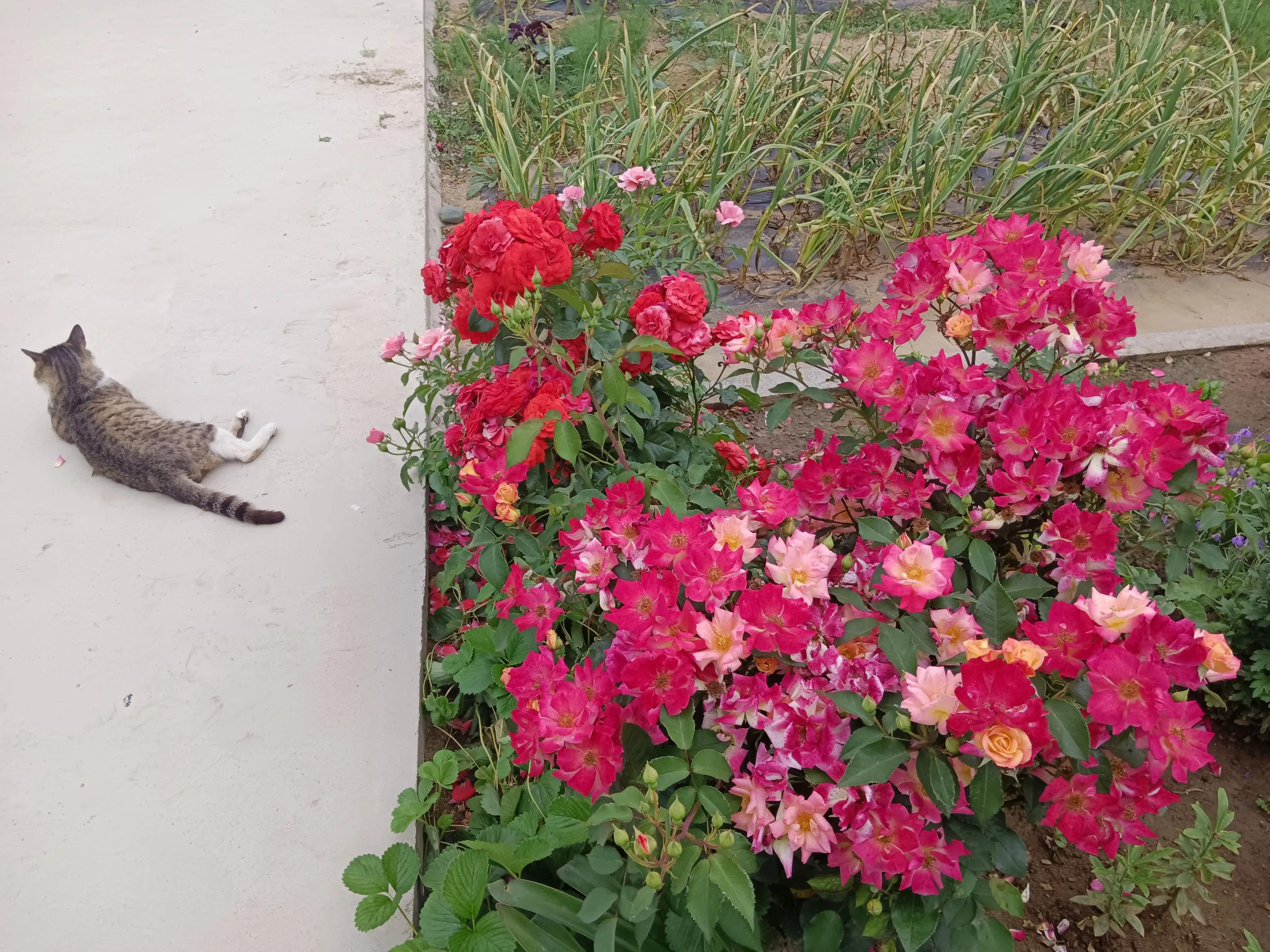 横扫千军之“君”字篇