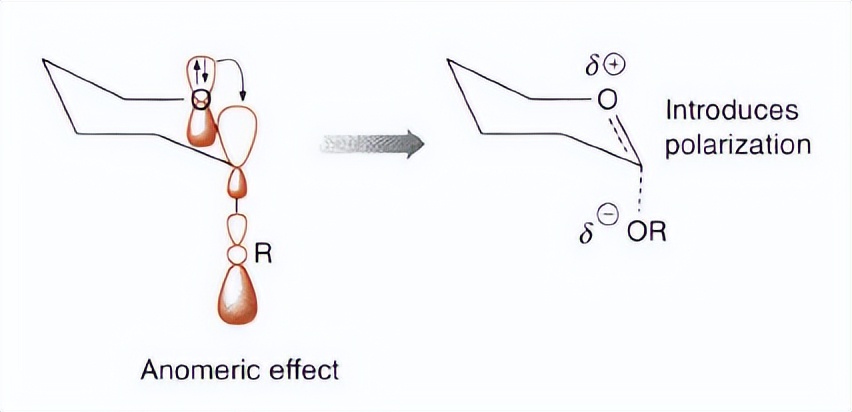 有机化学第二章讲解视频,有机化学第二章笔记