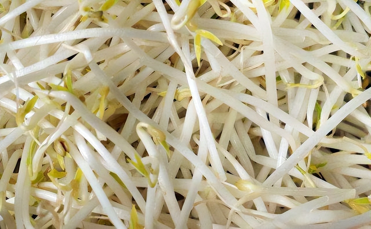 易经4-5全解,易经讲解2024