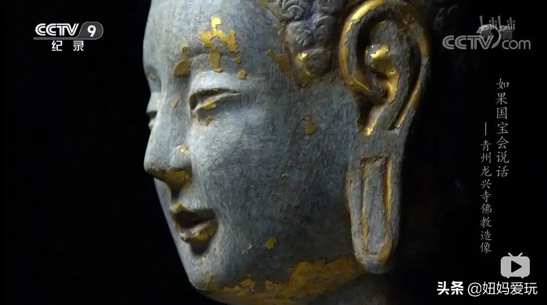 这几部口碑爆棚的宝藏纪录片,国庆孩子必看的8部神级纪录片