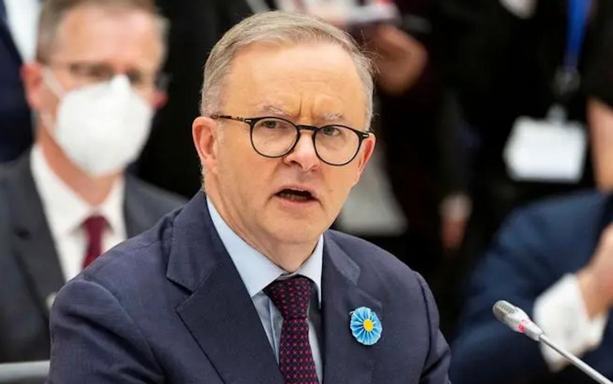 买家秀的作用,买家秀的作用大吗