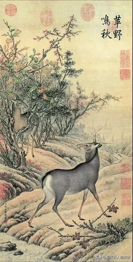 卡塔尔公主玛雅莎年龄,卡塔尔玛雅公主