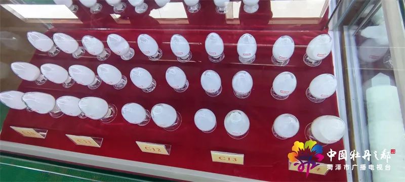 主要领导实地考察项目建设,县委书记带队观摩项目建设