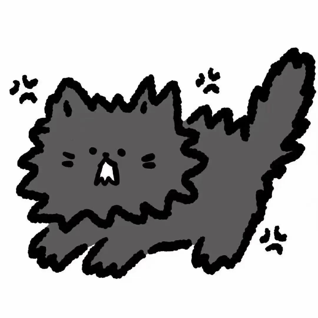 白底卡通头像女生可爱动漫,白底卡通头像手绘