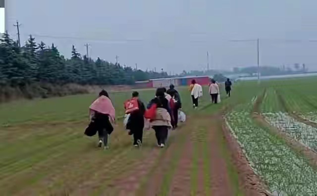 富士康员工徒步返乡哪个都不容易,富士康员工徒步返乡还有人在路上