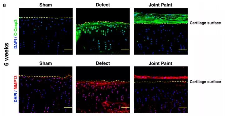 浙大研发新型涂层材料,浙大新型保温涂料