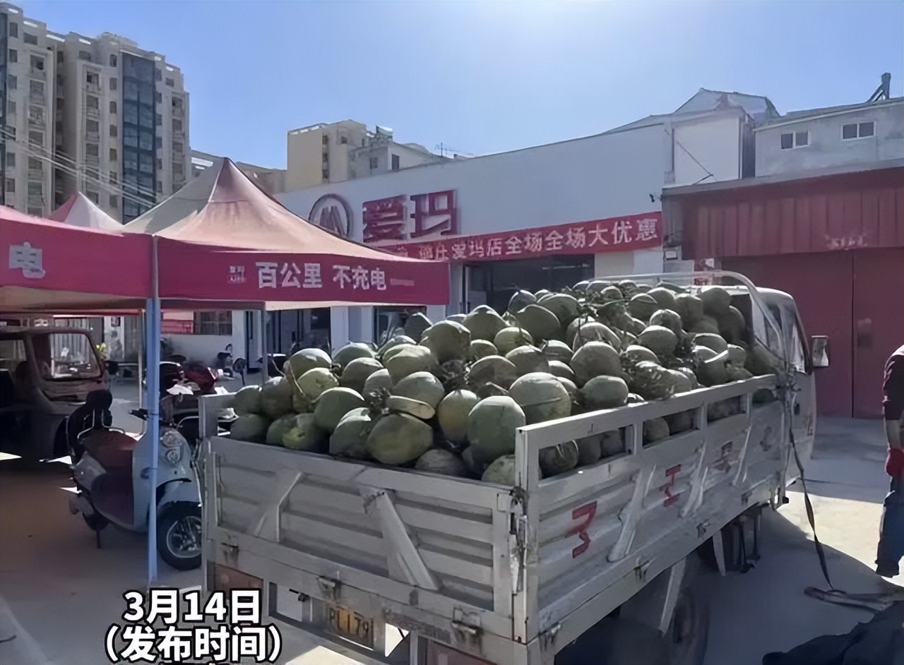 女儿孕期需喝椰子水，老爸买来一整车，这么喝真没问题吗？