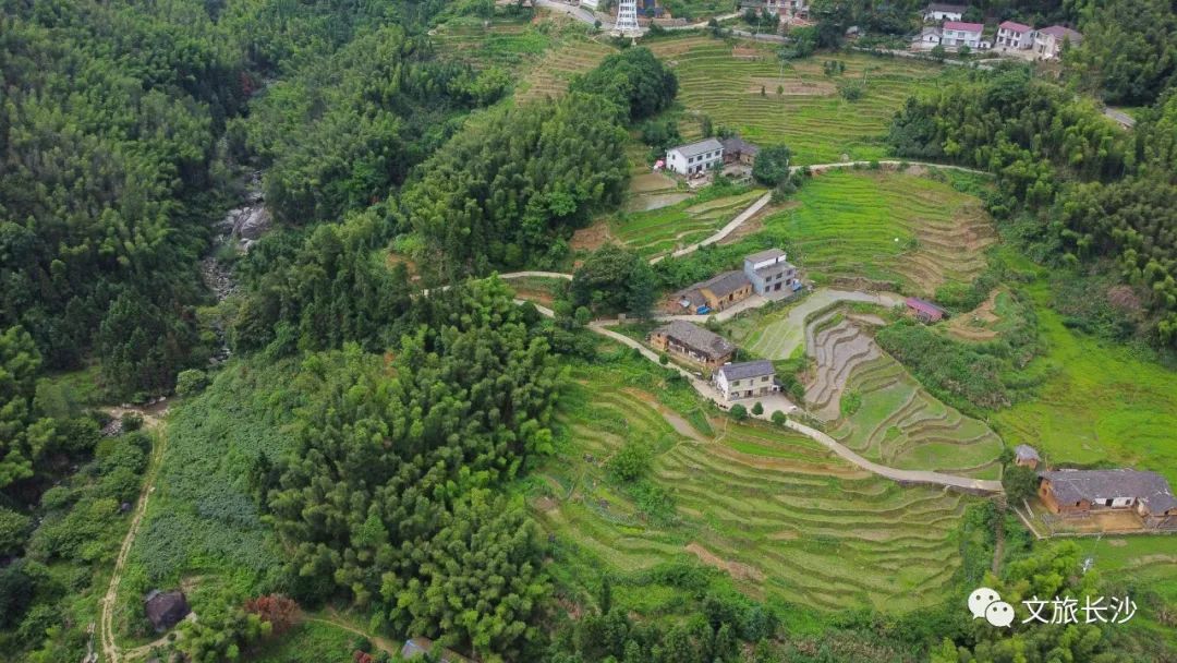 长沙夏日周末旅游景点攻略,长沙夏日游玩攻略一日游推荐