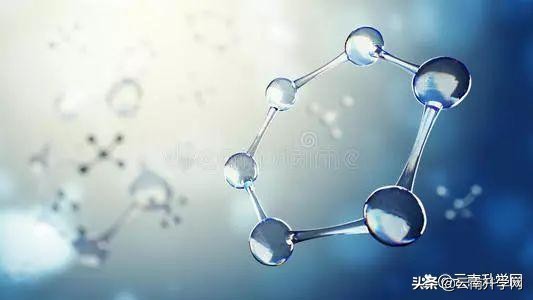 生物科学专业报考哪些事业单位,生物科学专业报考哪些职位