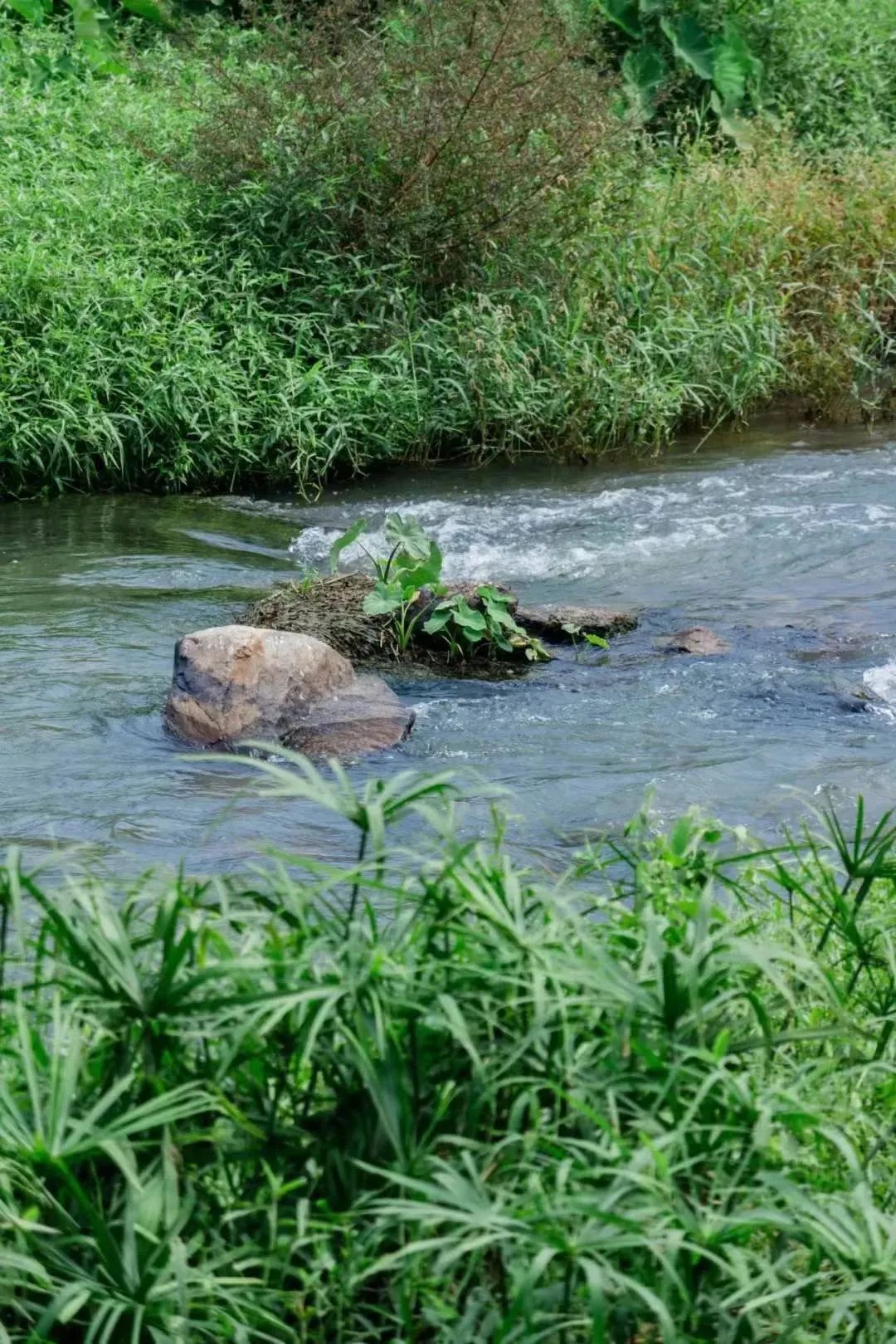 深圳小众胜地有哪些好玩的,深圳的特色风景