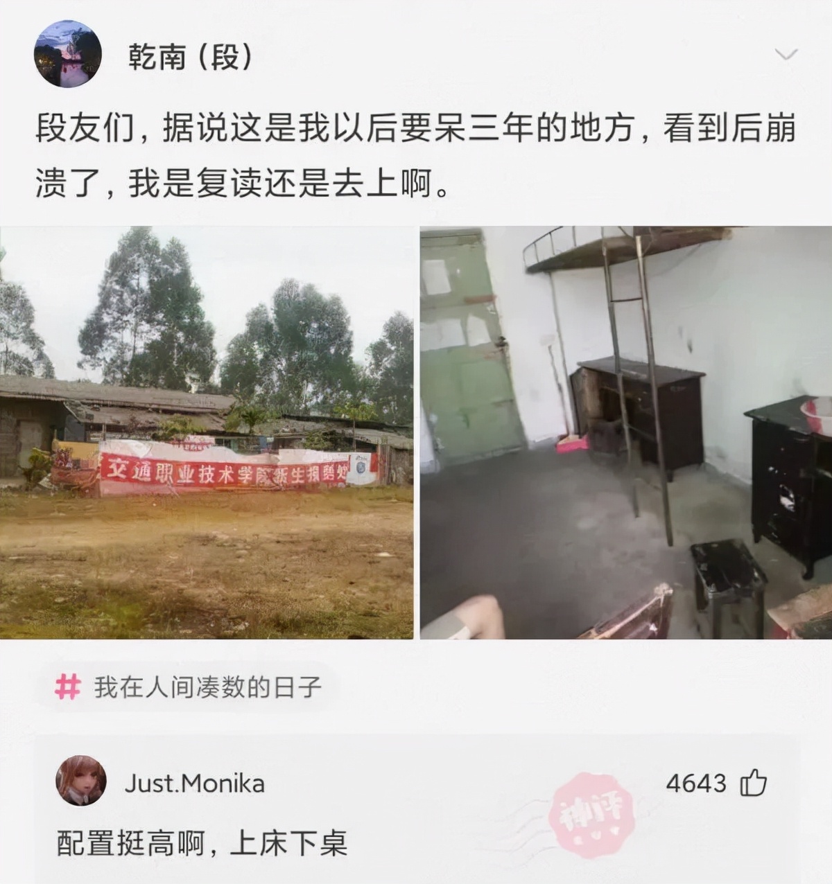 神回复与评论,微信表白神回复