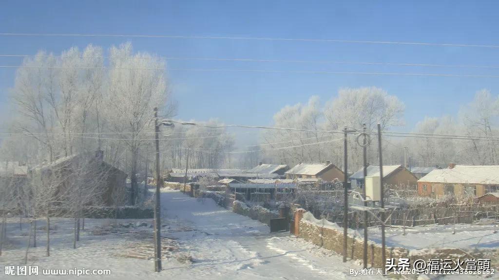 去小河里滑冰四年级,去小河里滑冰