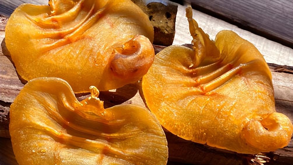 泊来鲜加盟靠谱吗,连锁鲜活海鲜品牌加盟