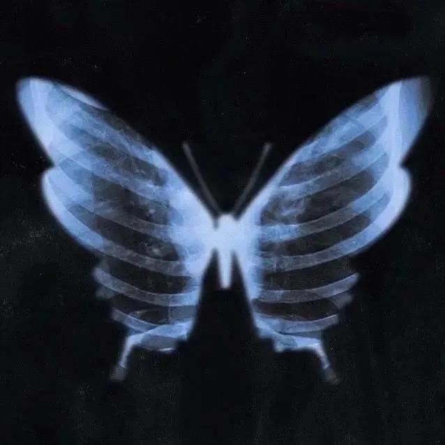 ins超火黑色背景图,黑色背景图ins高级感