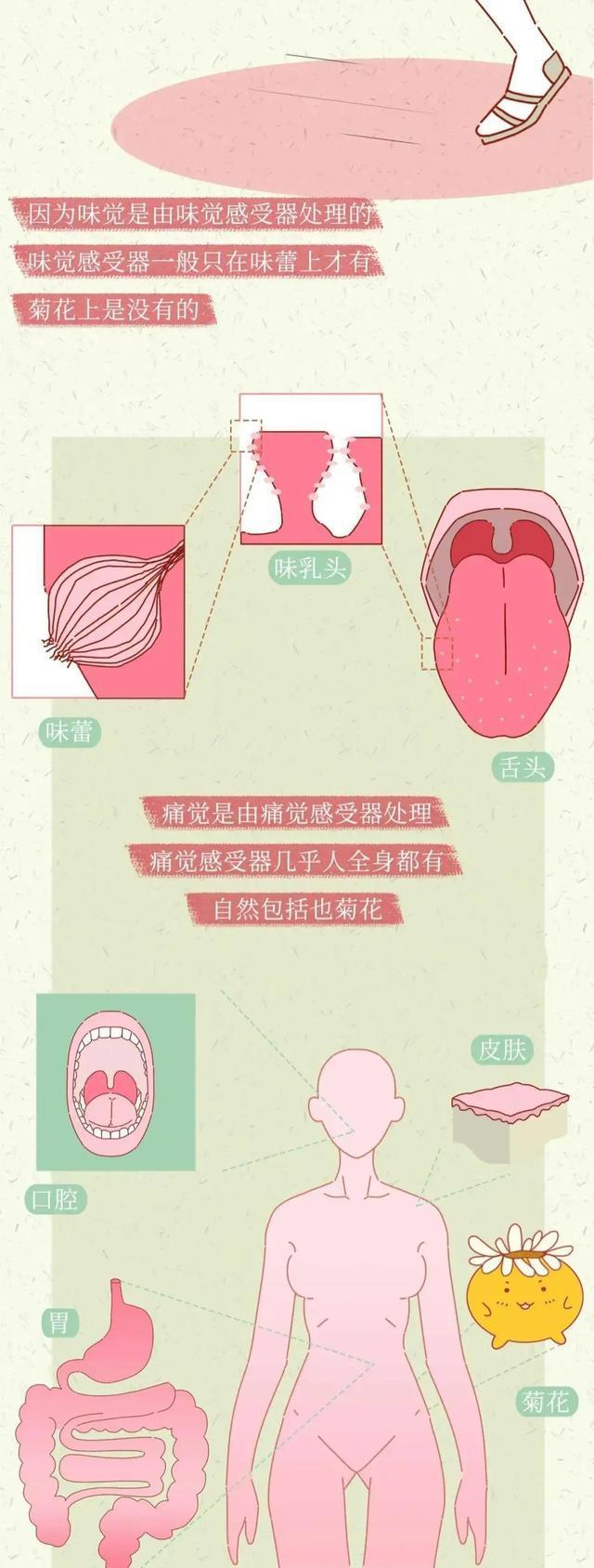 女生吃辣椒多了会怎样,女生吃辣会流粉色血吗
